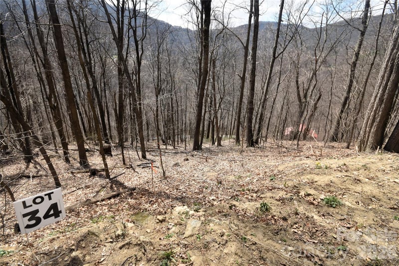 34 Montana Stone Trl #34, Waynesville, NC 28785