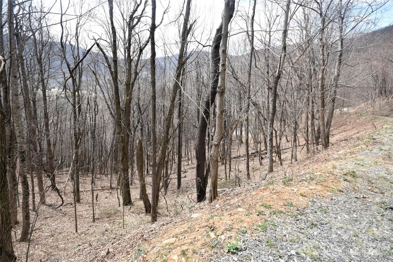 43 Marble Stone Dr #43, Waynesville, NC 28785