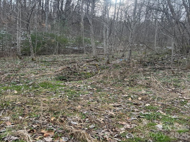 TBD 1.2 Acres Jass Cove Rd, Marshall, NC 28753