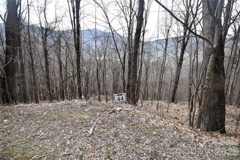 44 Prosperity Rg #44, Waynesville, NC 28785
