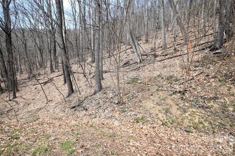 45 Prosperity Rg #45, Waynesville, NC 28785
