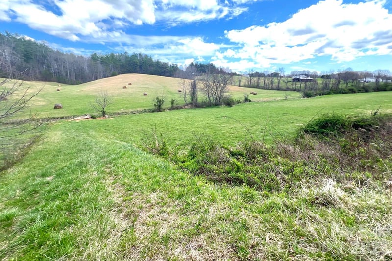 99999 Martin Branch Rd, Leicester, NC 28748