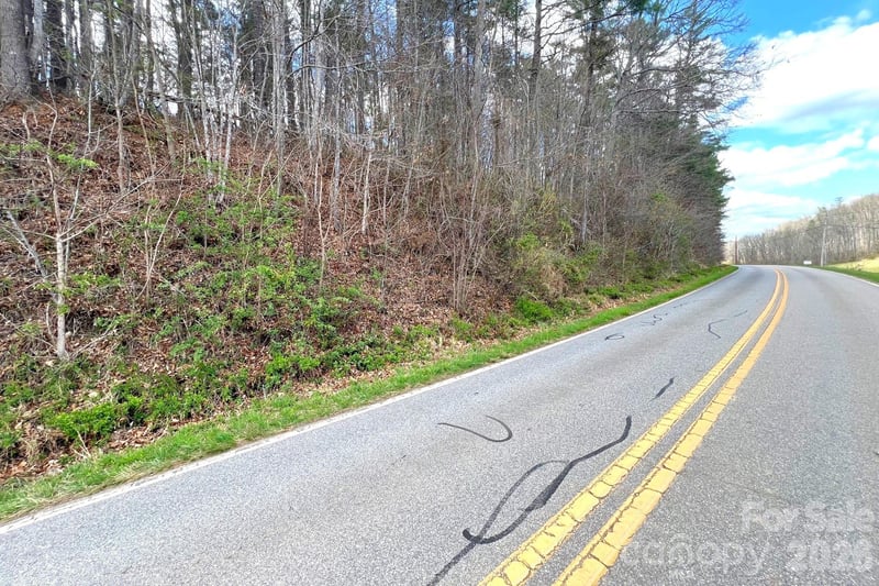 99999 Martin Branch Rd, Leicester, NC 28748