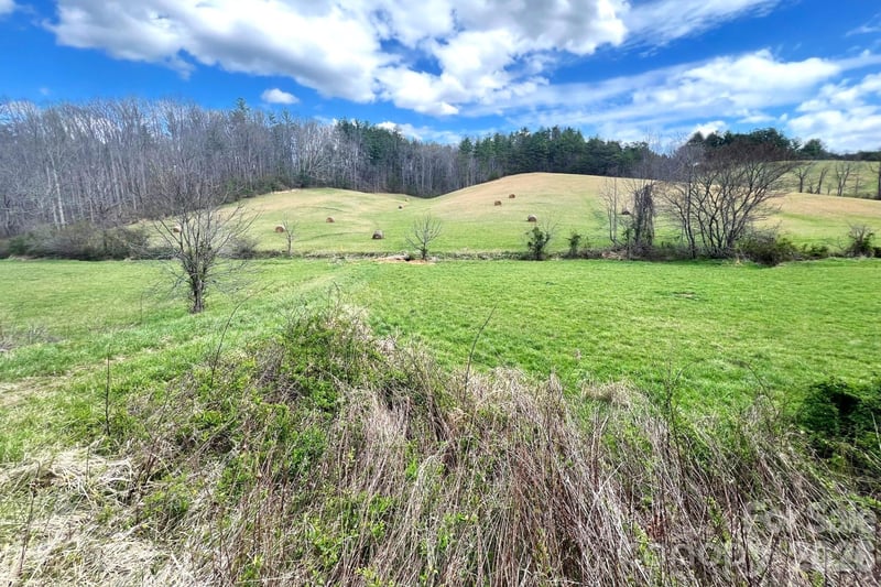99999 Martin Branch Rd, Leicester, NC 28748