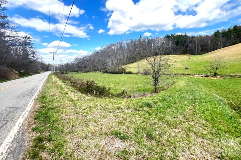 99999 Martin Branch Rd, Leicester, NC 28748