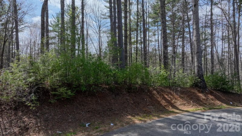 503 Larkhaven Dr, Nebo, NC 28761