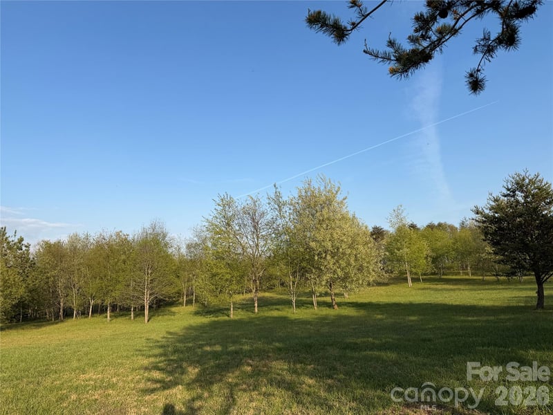 201 Blue Mountain Ln #1, Tryon, NC 28782