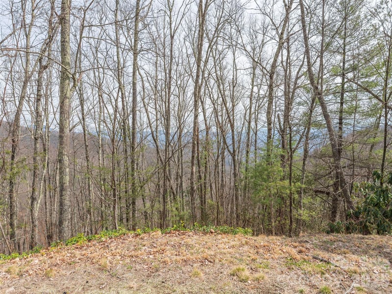 0000 Sigogglin Trl #4, Waynesville, NC 28785