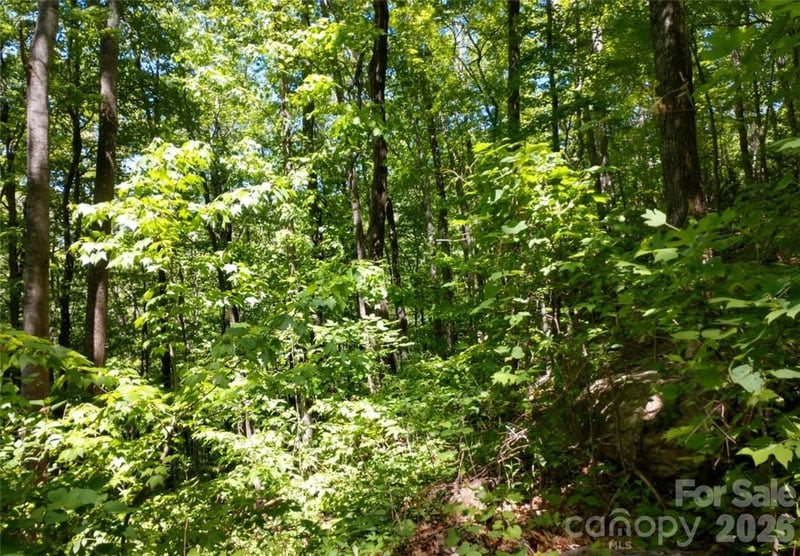00 Hudson Valley Dr #11, Waynesville, NC 28786