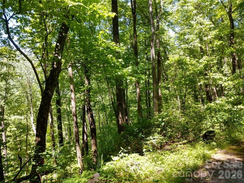 00 Hudson Valley Dr #11, Waynesville, NC 28786