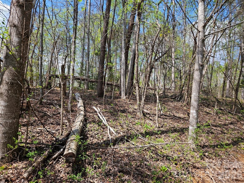 Whitney Blvd #57, Lake Lure, NC 28746