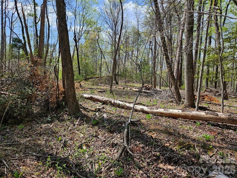 Whitney Blvd #57, Lake Lure, NC 28746