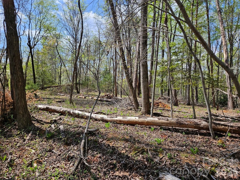 Whitney Blvd #57, Lake Lure, NC 28746