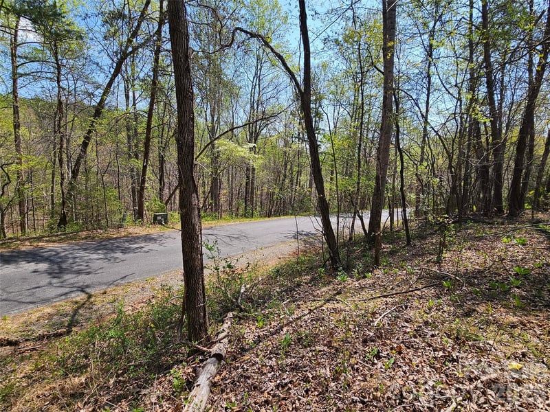 Whitney Blvd #57, Lake Lure, NC 28746