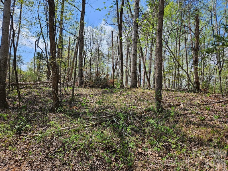 Whitney Blvd #57, Lake Lure, NC 28746