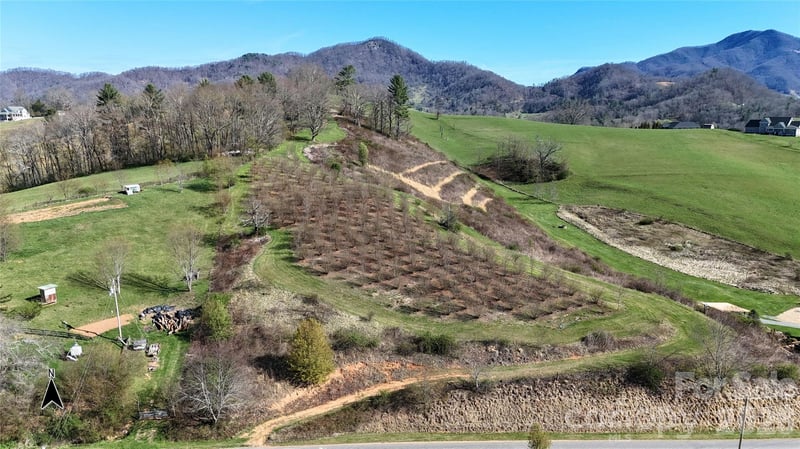 00000 Buck Ridge Rd, Waynesville, NC 28785