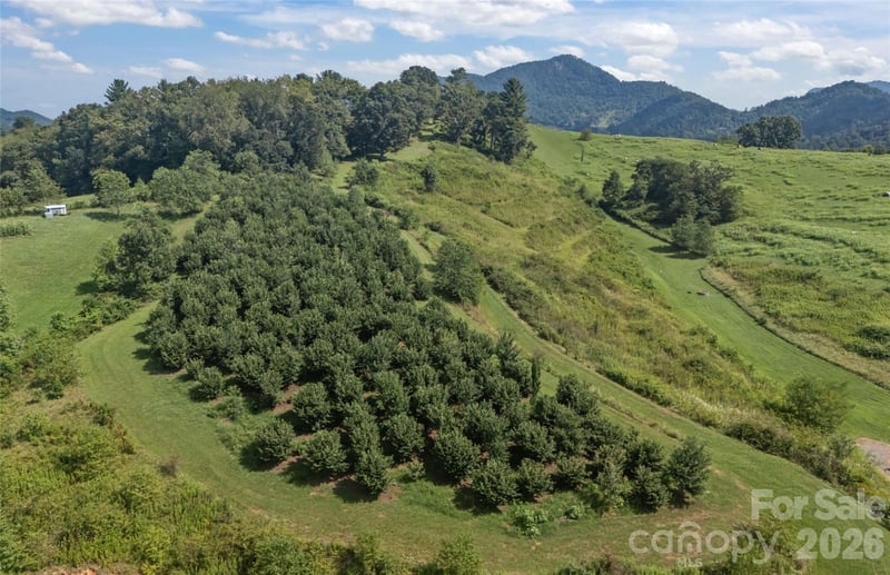00000 Buck Ridge Rd, Waynesville, NC 28785