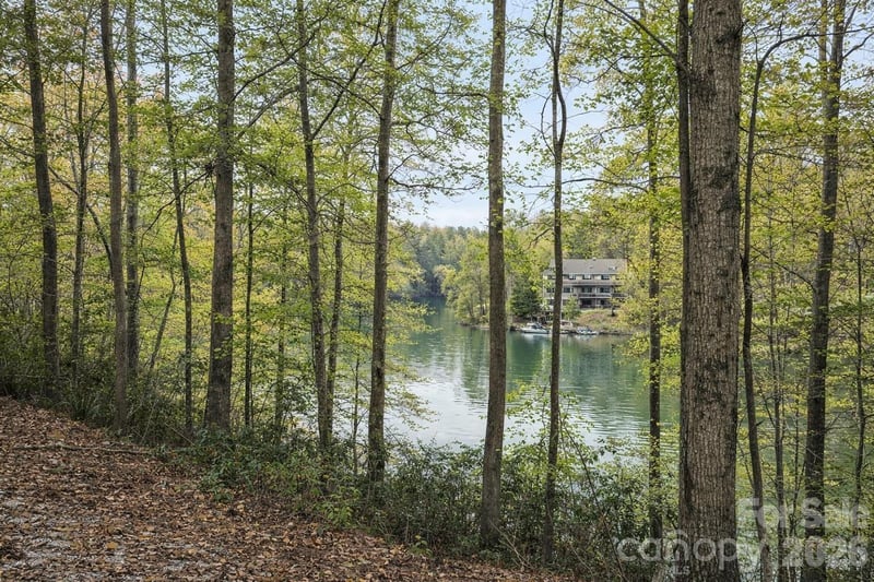 00 Lake Adger Pw Lot 7, Mill Spring, NC 28756