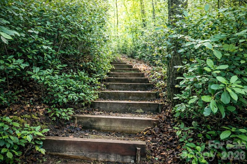 00 Lake Adger Pw Lot 7, Mill Spring, NC 28756