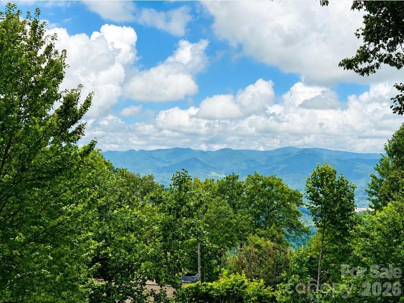 10 Stoney Falls Loop #4/203, Burnsville, NC 28714