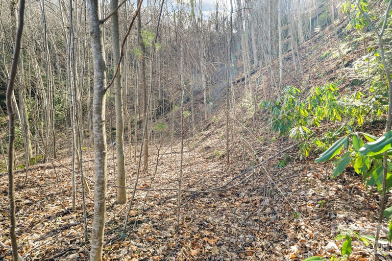 00 Lady Bug Ln #26, Maggie Valley, NC 28751