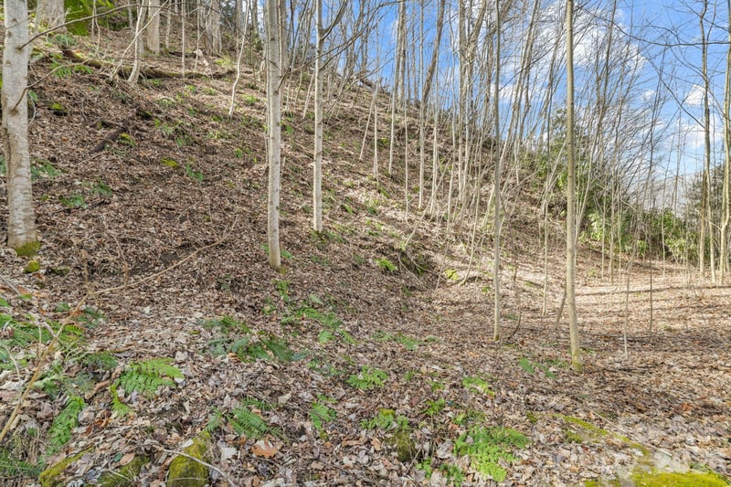 00 Lady Bug Ln #26, Maggie Valley, NC 28751