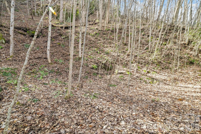 00 Lady Bug Ln #26, Maggie Valley, NC 28751