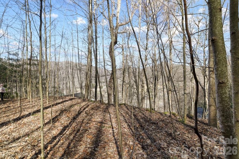 00 Lady Bug Ln #26, Maggie Valley, NC 28751