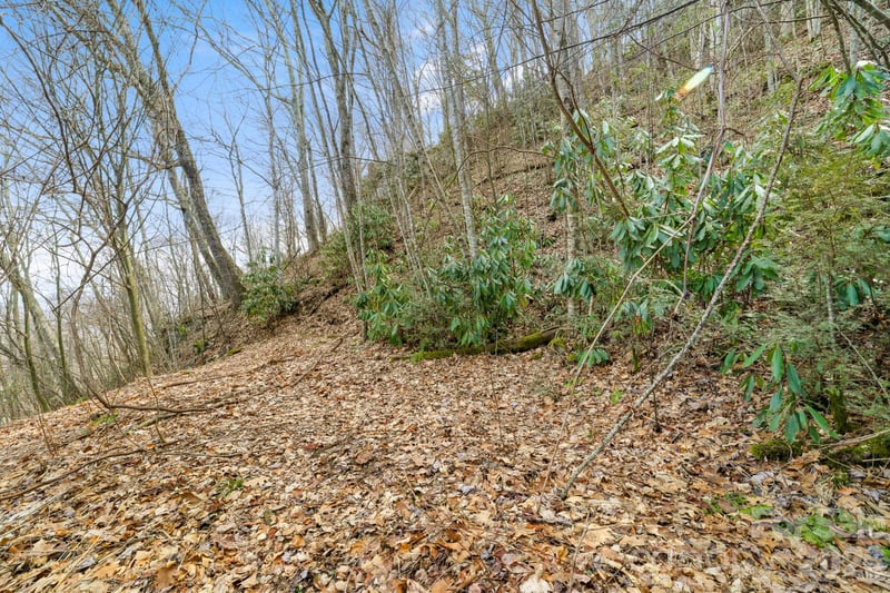 00 Forest Dr #14, Maggie Valley, NC 28751