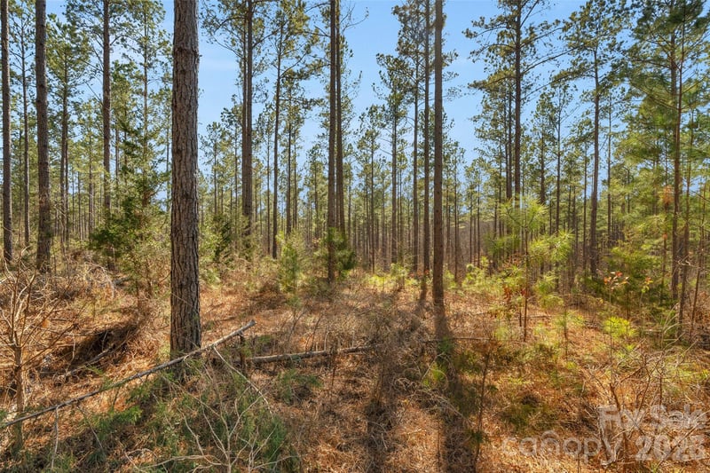 000 Peacehaven Rd #2, Mcconnells, SC 29726