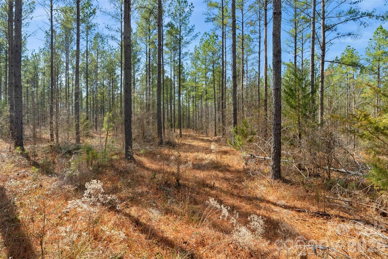 000 Peacehaven Rd #5, Mcconnells, SC 29726