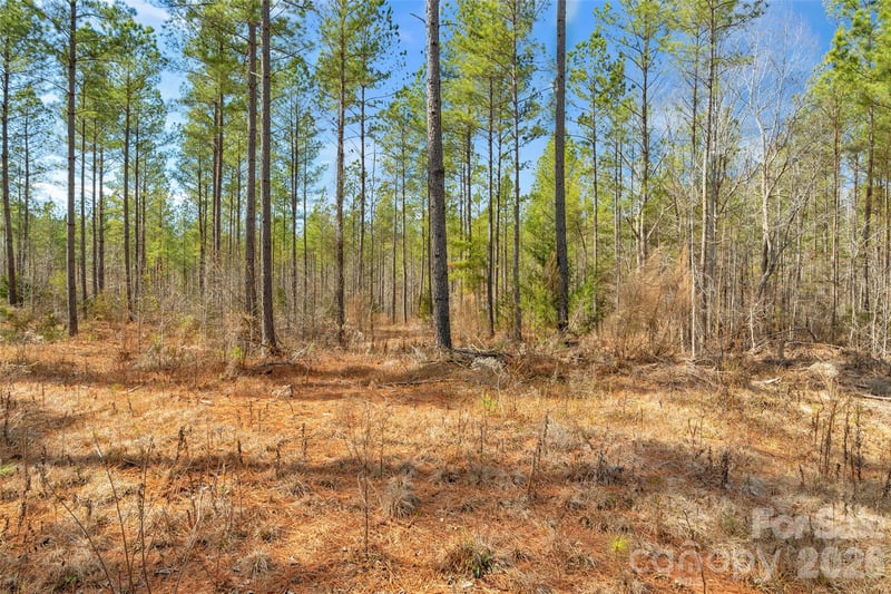 000 Peacehaven Rd #5, Mcconnells, SC 29726