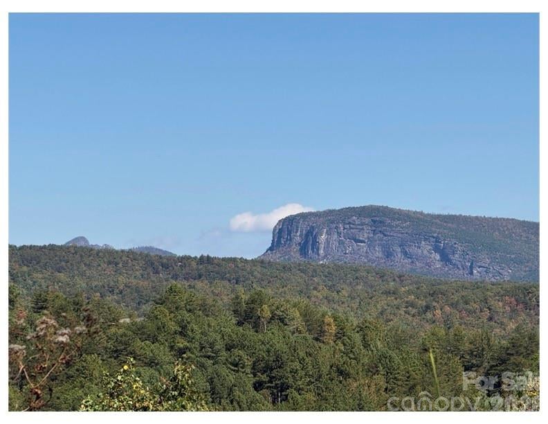 Pisgah Preserve Dr, Nebo, NC 28761