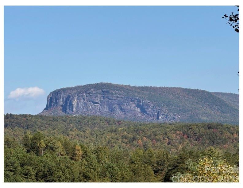 Pisgah Preserve Dr, Nebo, NC 28761