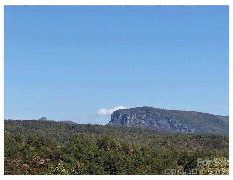 Pisgah Preserve Dr, Nebo, NC 28761