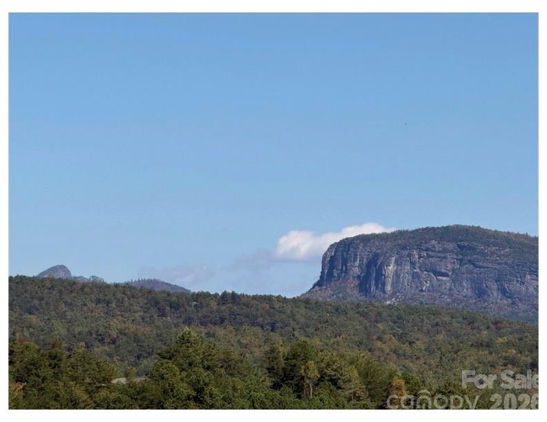 Pisgah Preserve Dr, Nebo, NC 28761