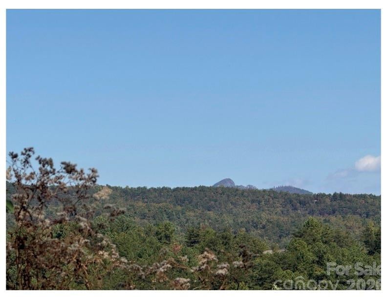 Pisgah Preserve Dr, Nebo, NC 28761