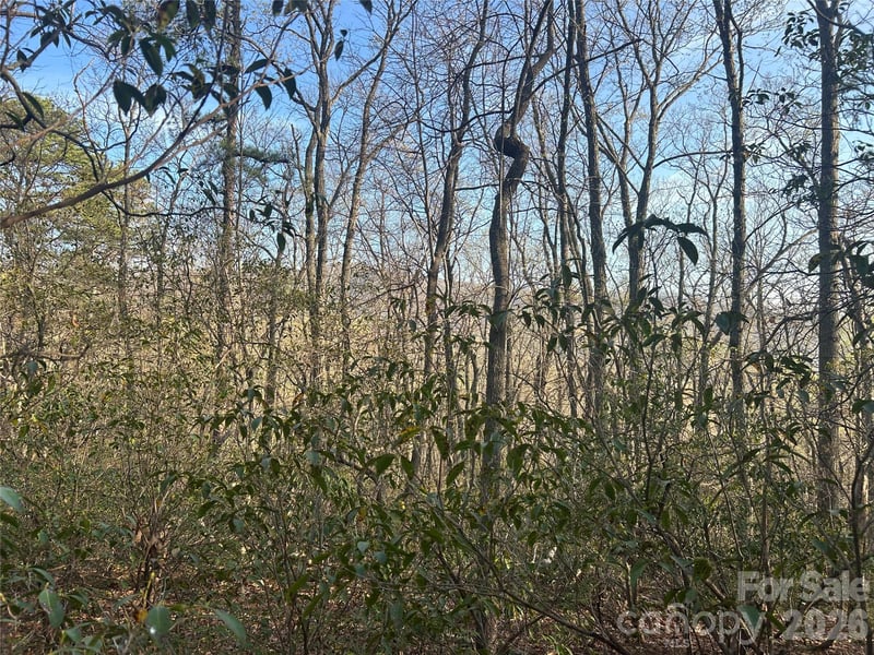 Lot 301 Cardinal Rd #301, Lake Lure, NC 28746