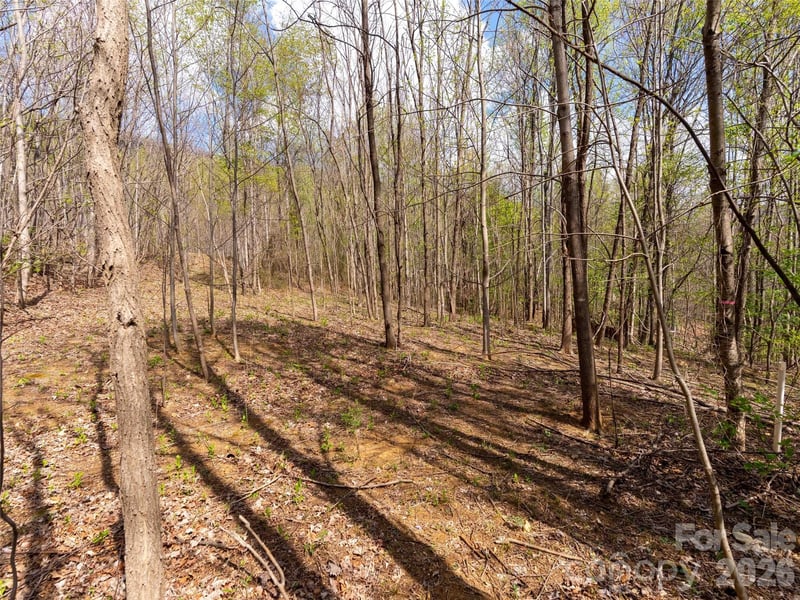 Lot 196 Cherry Hill #196, Mill Spring, NC 28756