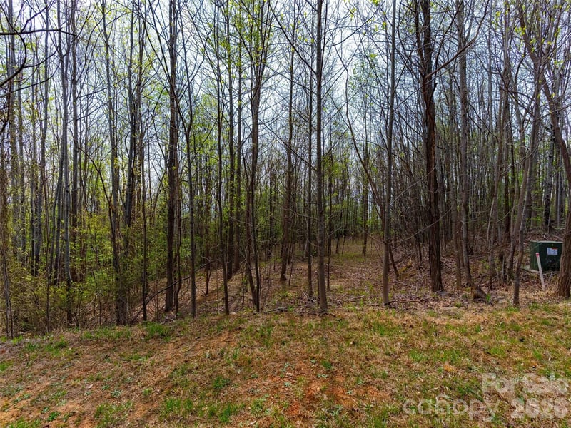 Lot 196 Cherry Hill #196, Mill Spring, NC 28756