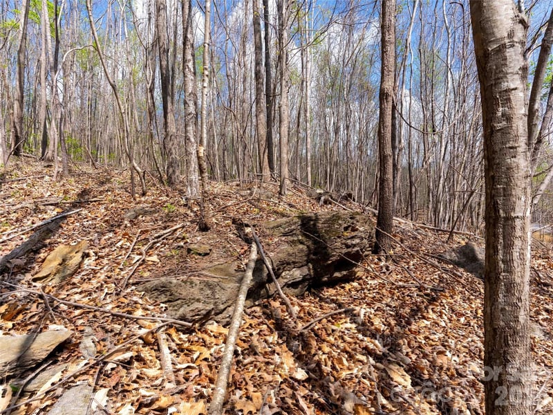 Lot 196 Cherry Hill #196, Mill Spring, NC 28756