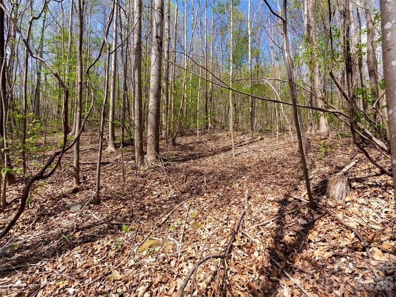Lot 196 Cherry Hill #196, Mill Spring, NC 28756