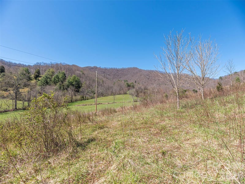 00 Worley Cove Rd, Marshall, NC 28753