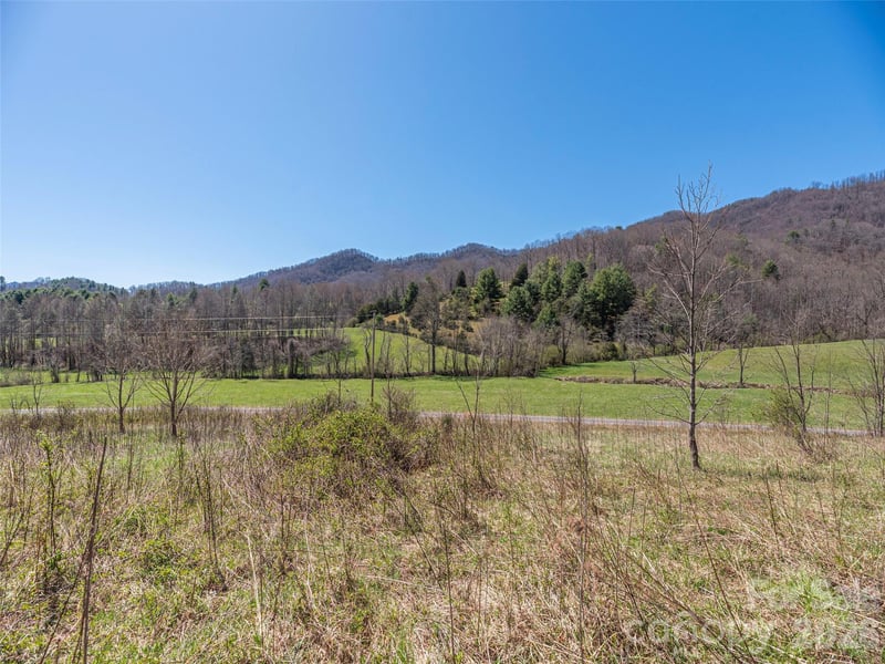 00 Worley Cove Rd, Marshall, NC 28753