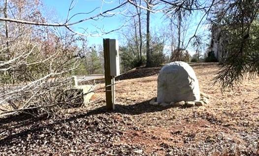 Twin Maple Way #5, Mill Spring, NC 28756