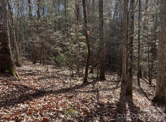 Twin Maple Way #5, Mill Spring, NC 28756