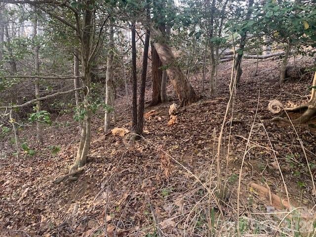 7.67 AC. Holbert Cove Rd #7.67 AC., Saluda, NC 28773