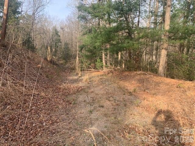 7.67 AC. Holbert Cove Rd #7.67 AC., Saluda, NC 28773