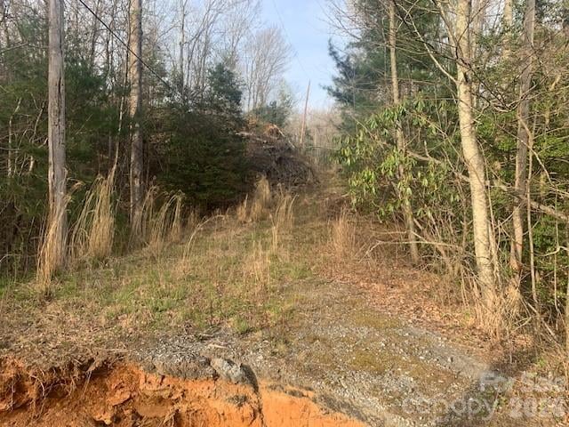 7.67 AC. Holbert Cove Rd #7.67 AC., Saluda, NC 28773