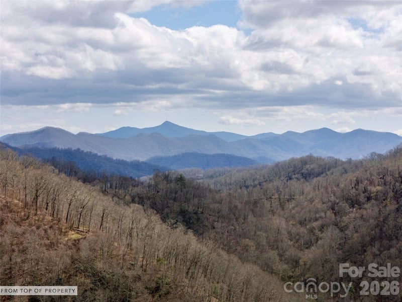 TBD Wilson Cove Rd, Canton, NC 28716